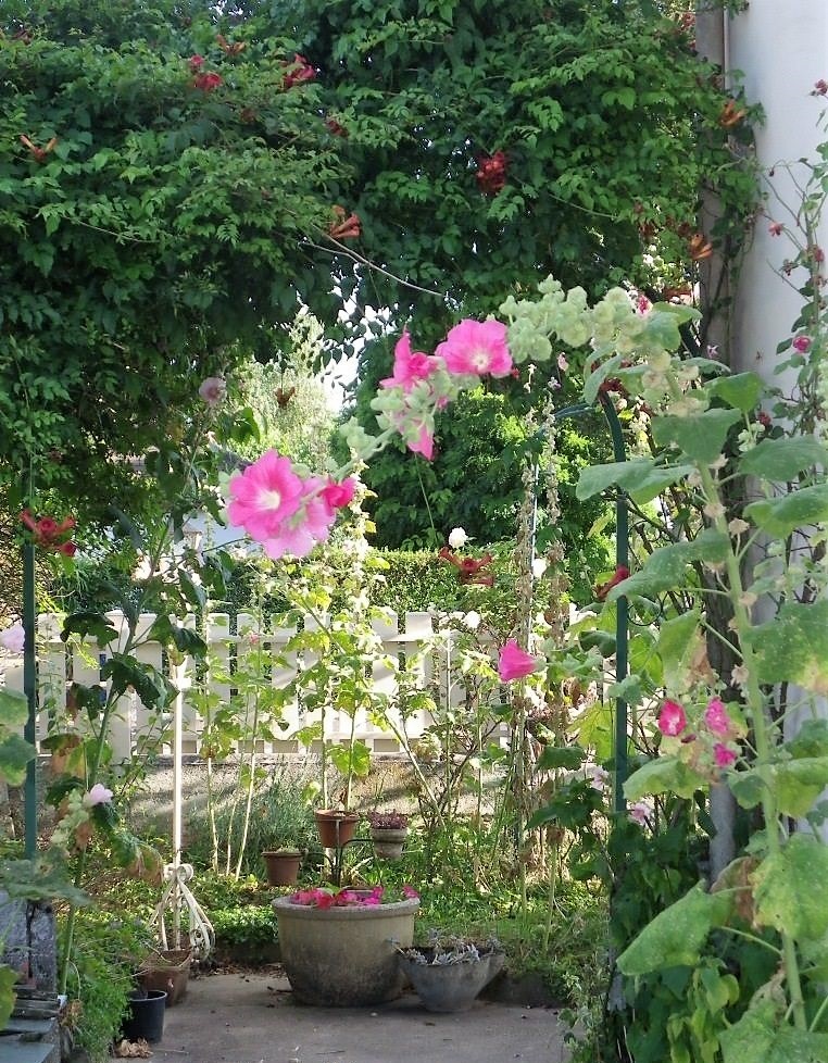 dans le jardin de ma mamie