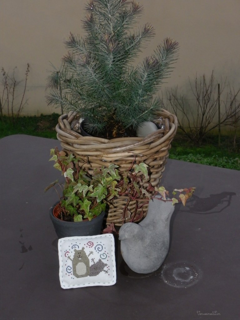 broderie Goundhog day