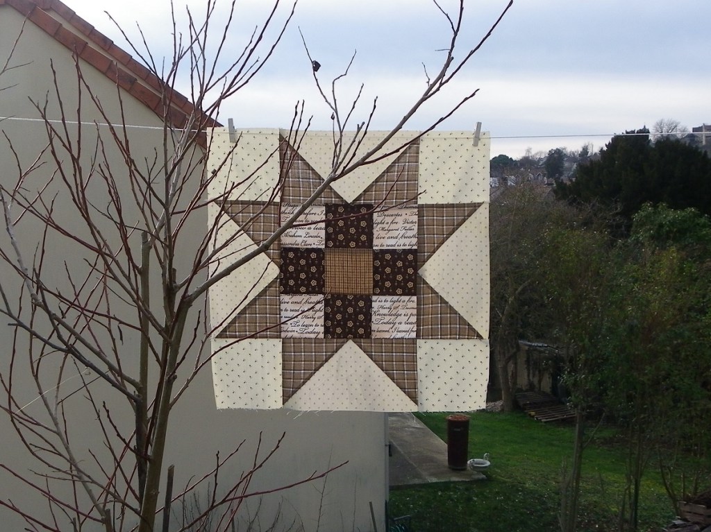 Hands All Around Barbara Brackman,  bloc de janvier