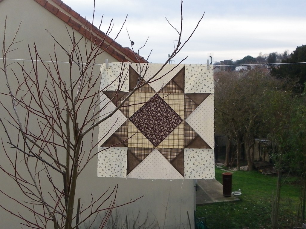 Hands All Around Barbara Brackman bloc de février