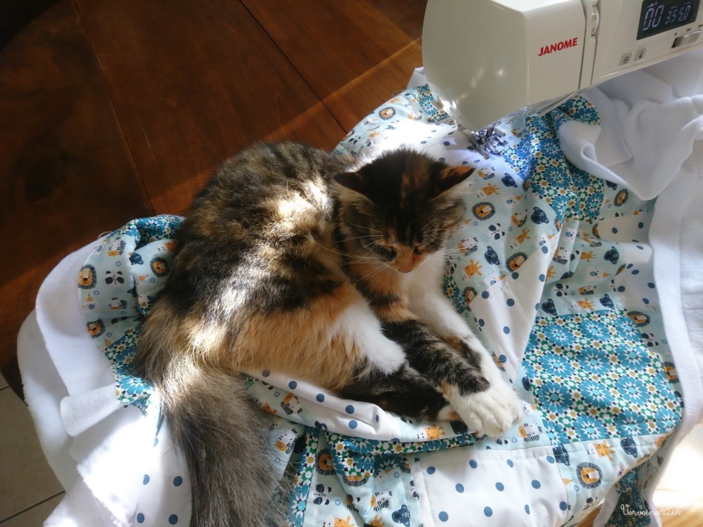 quilter avec un chat